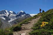 30 Da sx Piz Bernina (4050 m), Scersen (3971 m), Roseg (3937 m) e ghiacciaio di Tschierva